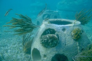 eternal_reefs