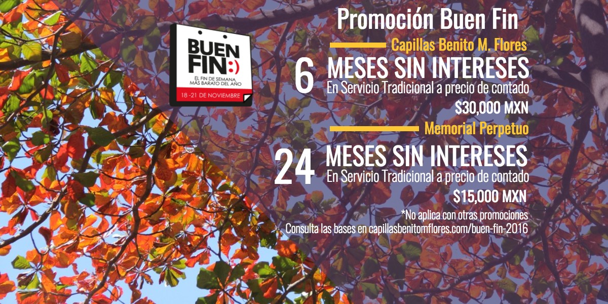 buen-fin-2016